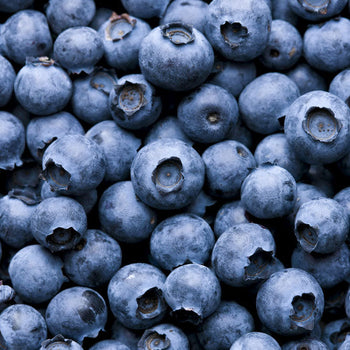 mirtillo per la tua pelle