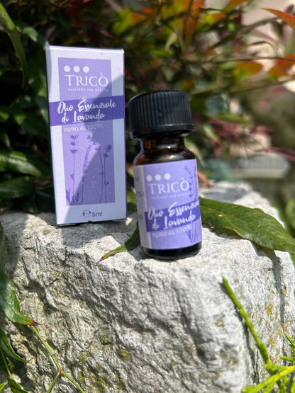 Olio lavanda con fiori freschi