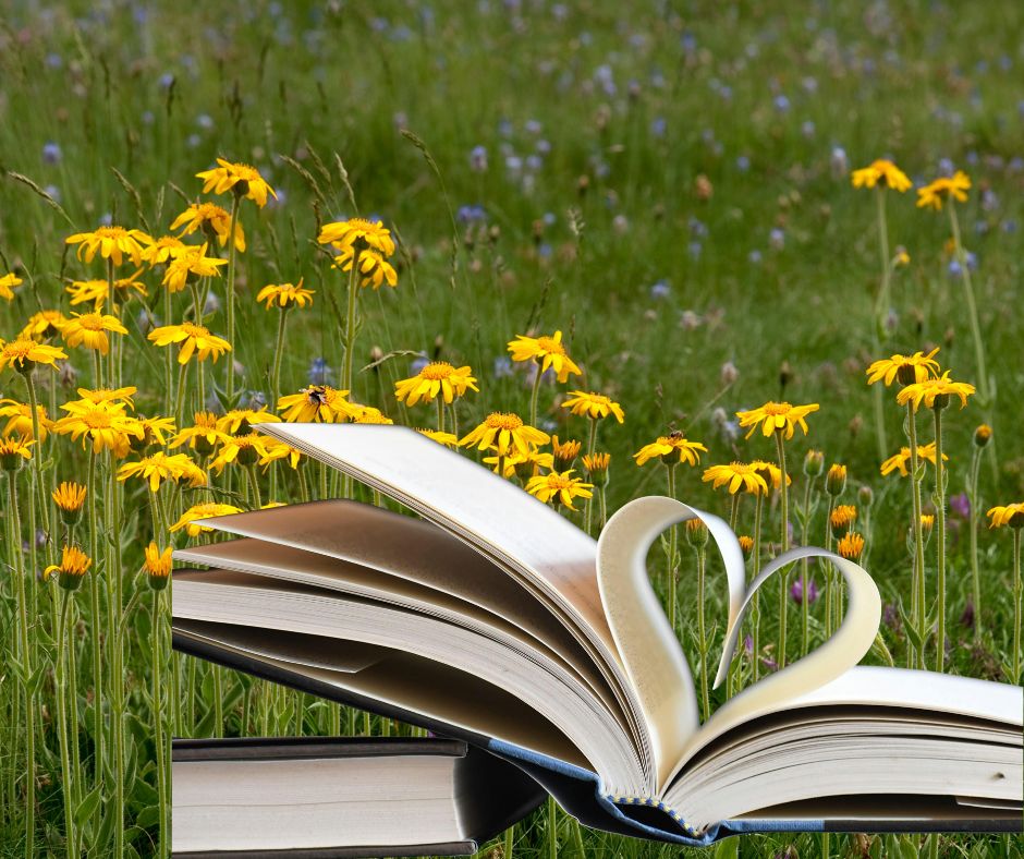 campo di elicriso e letteratura